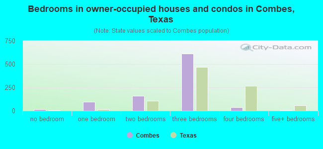 Bedrooms in owner-occupied houses and condos in Combes, Texas