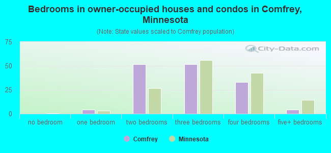Bedrooms in owner-occupied houses and condos in Comfrey, Minnesota