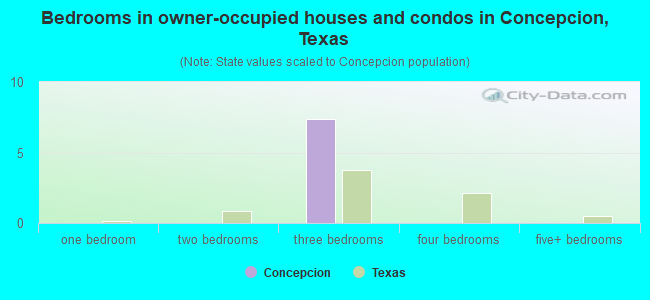 Bedrooms in owner-occupied houses and condos in Concepcion, Texas