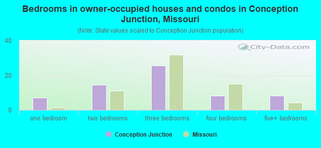 Bedrooms in owner-occupied houses and condos in Conception Junction, Missouri