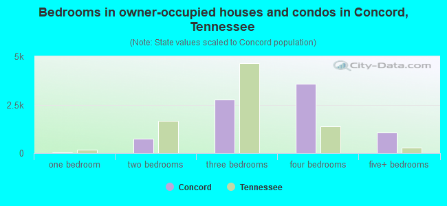Bedrooms in owner-occupied houses and condos in Concord, Tennessee