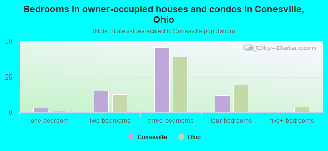 Bedrooms in owner-occupied houses and condos in Conesville, Ohio