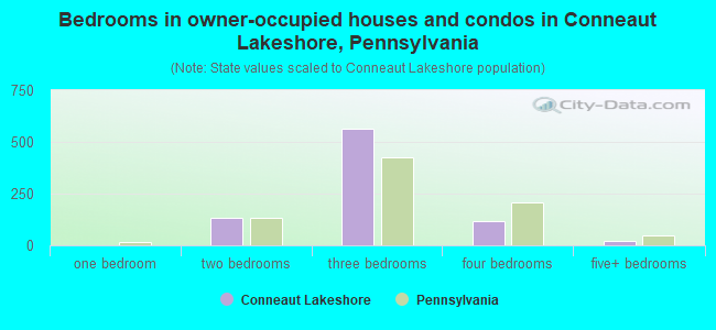 Bedrooms in owner-occupied houses and condos in Conneaut Lakeshore, Pennsylvania