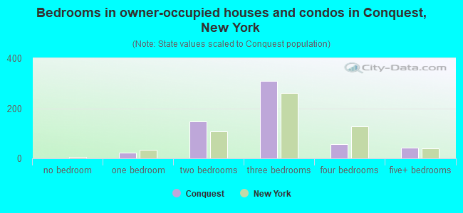 Bedrooms in owner-occupied houses and condos in Conquest, New York