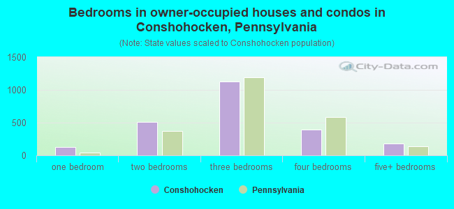 Bedrooms in owner-occupied houses and condos in Conshohocken, Pennsylvania
