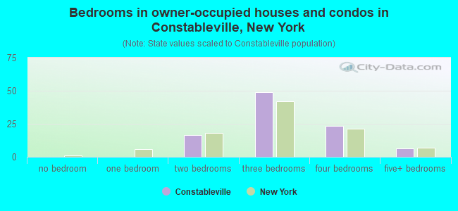Bedrooms in owner-occupied houses and condos in Constableville, New York