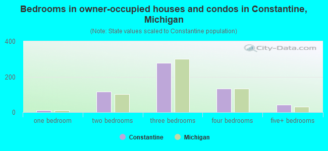 Bedrooms in owner-occupied houses and condos in Constantine, Michigan