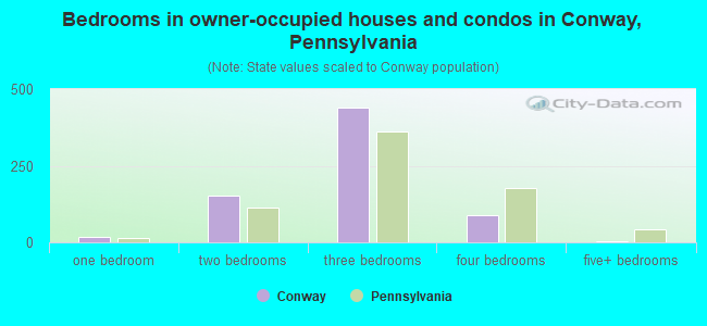 Bedrooms in owner-occupied houses and condos in Conway, Pennsylvania