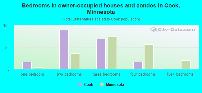 Bedrooms in owner-occupied houses and condos in Cook, Minnesota