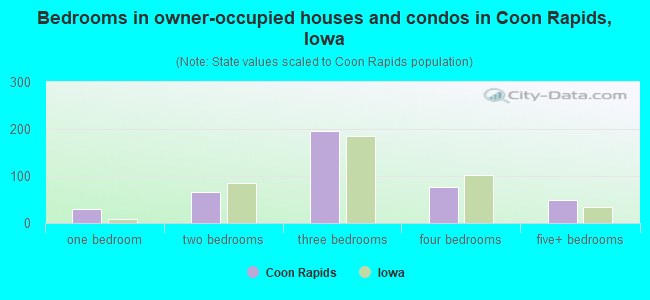 Bedrooms in owner-occupied houses and condos in Coon Rapids, Iowa