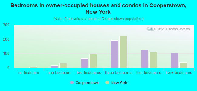 Bedrooms in owner-occupied houses and condos in Cooperstown, New York