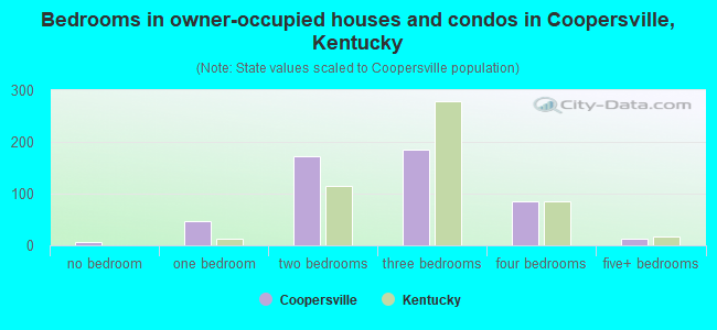 Bedrooms in owner-occupied houses and condos in Coopersville, Kentucky