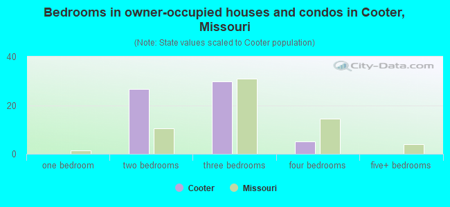 Bedrooms in owner-occupied houses and condos in Cooter, Missouri