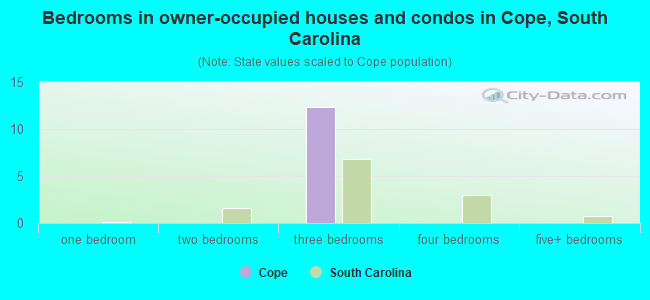Bedrooms in owner-occupied houses and condos in Cope, South Carolina