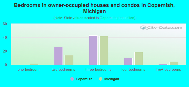 Bedrooms in owner-occupied houses and condos in Copemish, Michigan