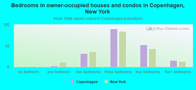 Bedrooms in owner-occupied houses and condos in Copenhagen, New York