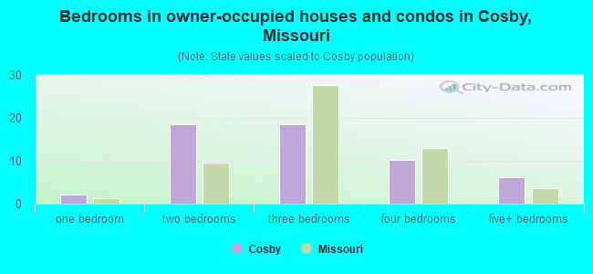 Bedrooms in owner-occupied houses and condos in Cosby, Missouri
