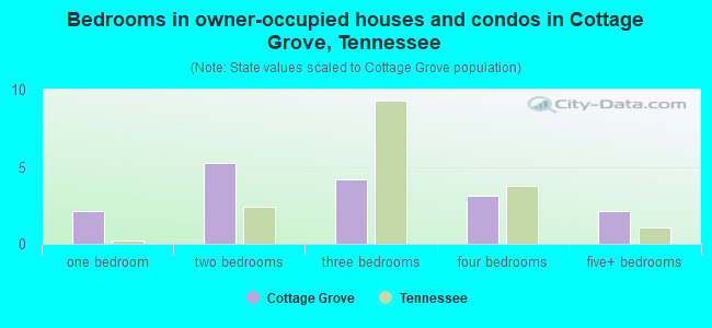 Bedrooms in owner-occupied houses and condos in Cottage Grove, Tennessee