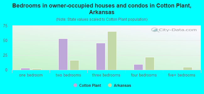 Bedrooms in owner-occupied houses and condos in Cotton Plant, Arkansas