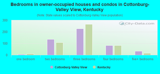 Bedrooms in owner-occupied houses and condos in Cottonburg-Valley View, Kentucky