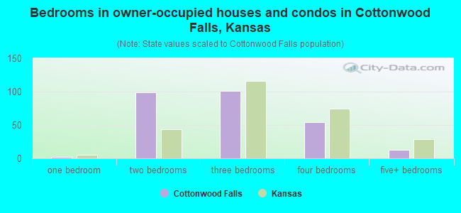 Bedrooms in owner-occupied houses and condos in Cottonwood Falls, Kansas