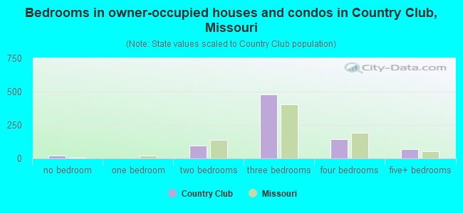 Bedrooms in owner-occupied houses and condos in Country Club, Missouri