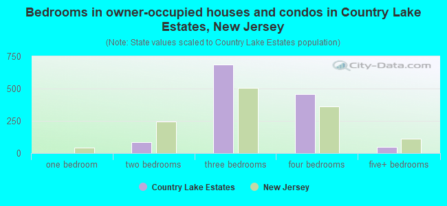 Bedrooms in owner-occupied houses and condos in Country Lake Estates, New Jersey