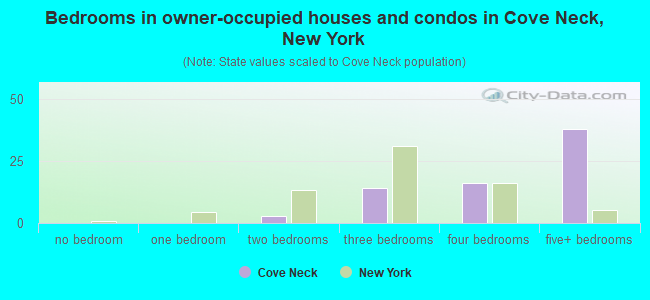 Bedrooms in owner-occupied houses and condos in Cove Neck, New York