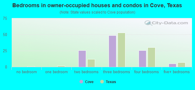 Bedrooms in owner-occupied houses and condos in Cove, Texas