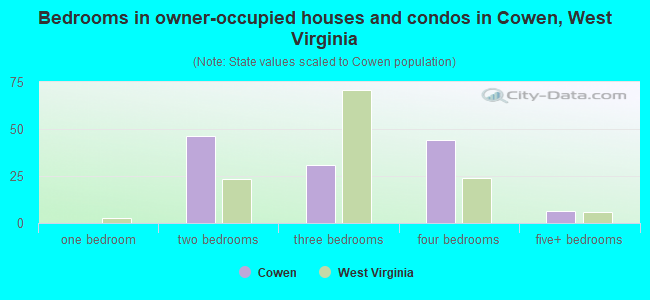 Bedrooms in owner-occupied houses and condos in Cowen, West Virginia