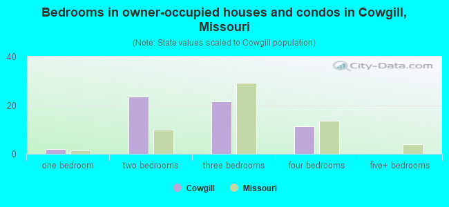 Bedrooms in owner-occupied houses and condos in Cowgill, Missouri