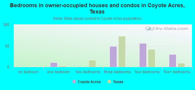 Bedrooms in owner-occupied houses and condos in Coyote Acres, Texas
