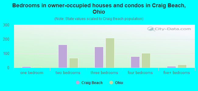 Bedrooms in owner-occupied houses and condos in Craig Beach, Ohio