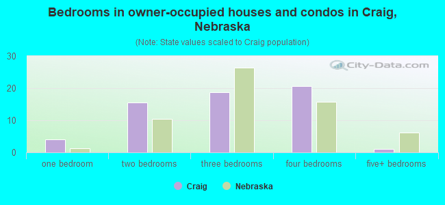 Bedrooms in owner-occupied houses and condos in Craig, Nebraska
