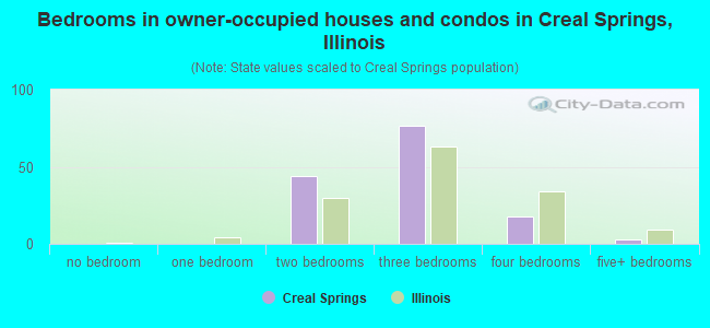 Bedrooms in owner-occupied houses and condos in Creal Springs, Illinois