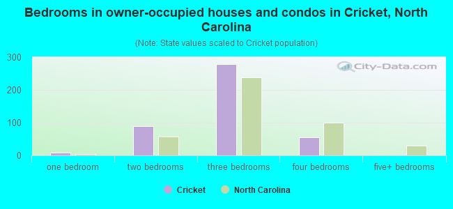 Bedrooms in owner-occupied houses and condos in Cricket, North Carolina