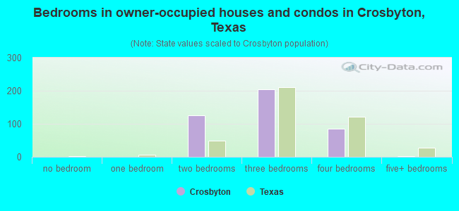 Bedrooms in owner-occupied houses and condos in Crosbyton, Texas