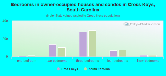 Bedrooms in owner-occupied houses and condos in Cross Keys, South Carolina