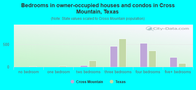 Bedrooms in owner-occupied houses and condos in Cross Mountain, Texas