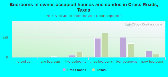 Bedrooms in owner-occupied houses and condos in Cross Roads, Texas