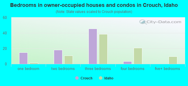 Bedrooms in owner-occupied houses and condos in Crouch, Idaho