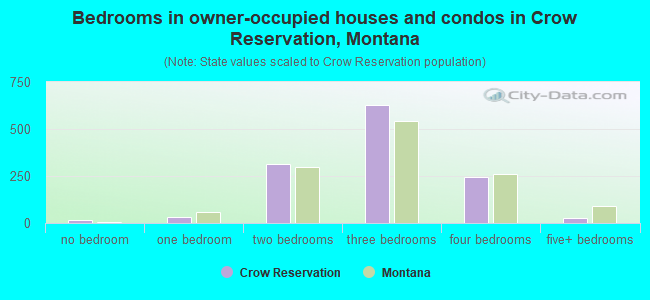 Bedrooms in owner-occupied houses and condos in Crow Reservation, Montana