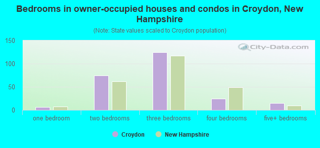 Bedrooms in owner-occupied houses and condos in Croydon, New Hampshire