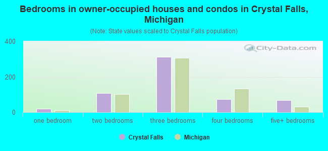 Bedrooms in owner-occupied houses and condos in Crystal Falls, Michigan