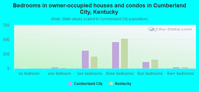 Bedrooms in owner-occupied houses and condos in Cumberland City, Kentucky
