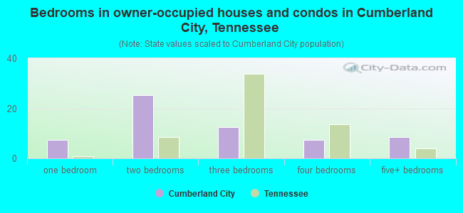 Bedrooms in owner-occupied houses and condos in Cumberland City, Tennessee