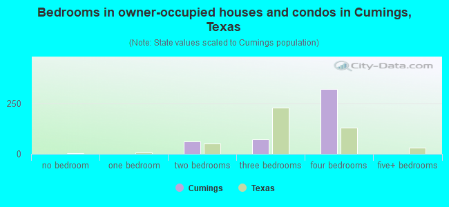 Bedrooms in owner-occupied houses and condos in Cumings, Texas