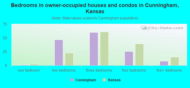 Bedrooms in owner-occupied houses and condos in Cunningham, Kansas