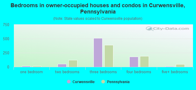 Bedrooms in owner-occupied houses and condos in Curwensville, Pennsylvania