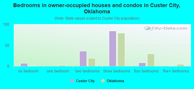 Bedrooms in owner-occupied houses and condos in Custer City, Oklahoma